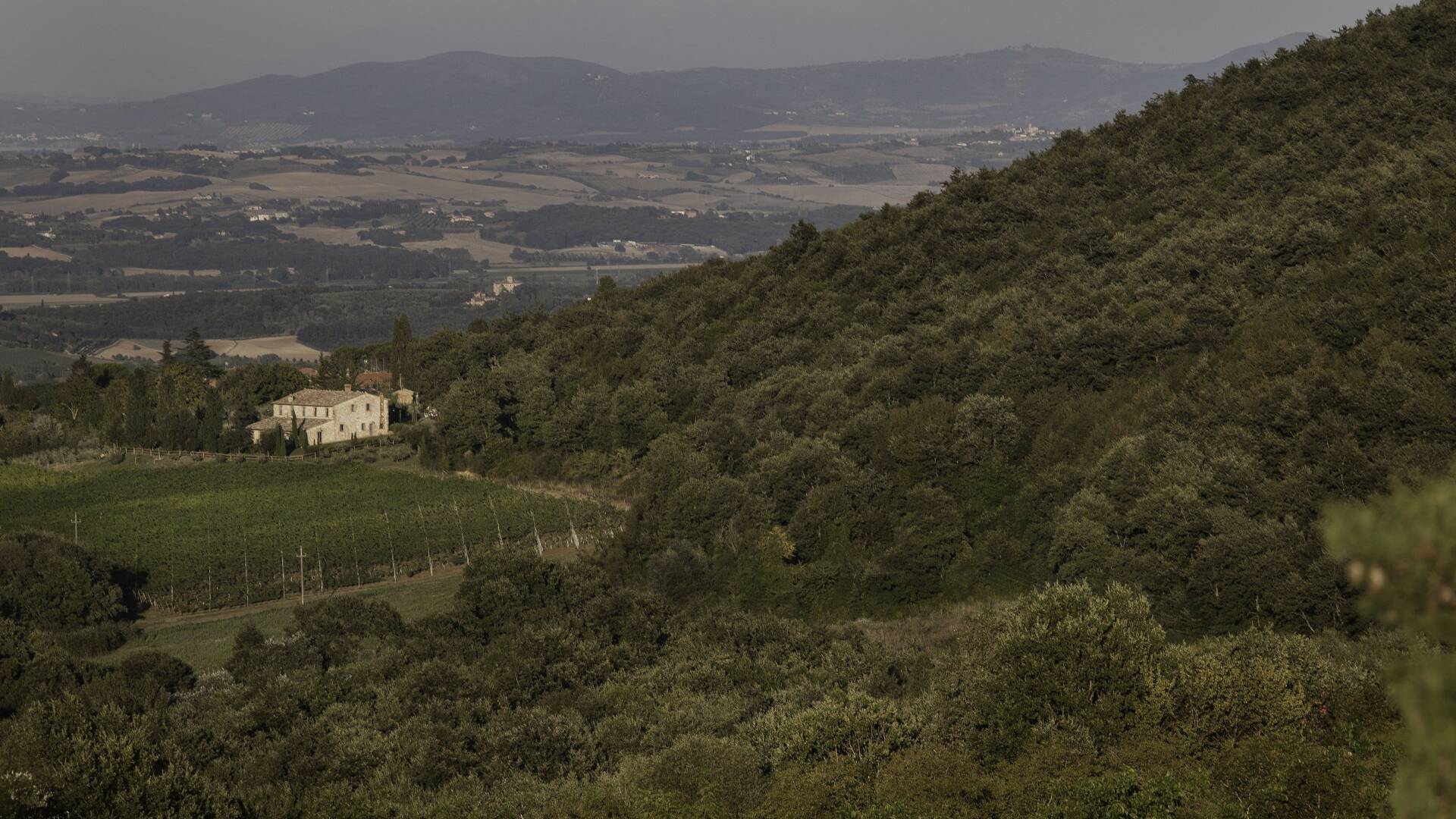 immersed in the heart of Tuscany 