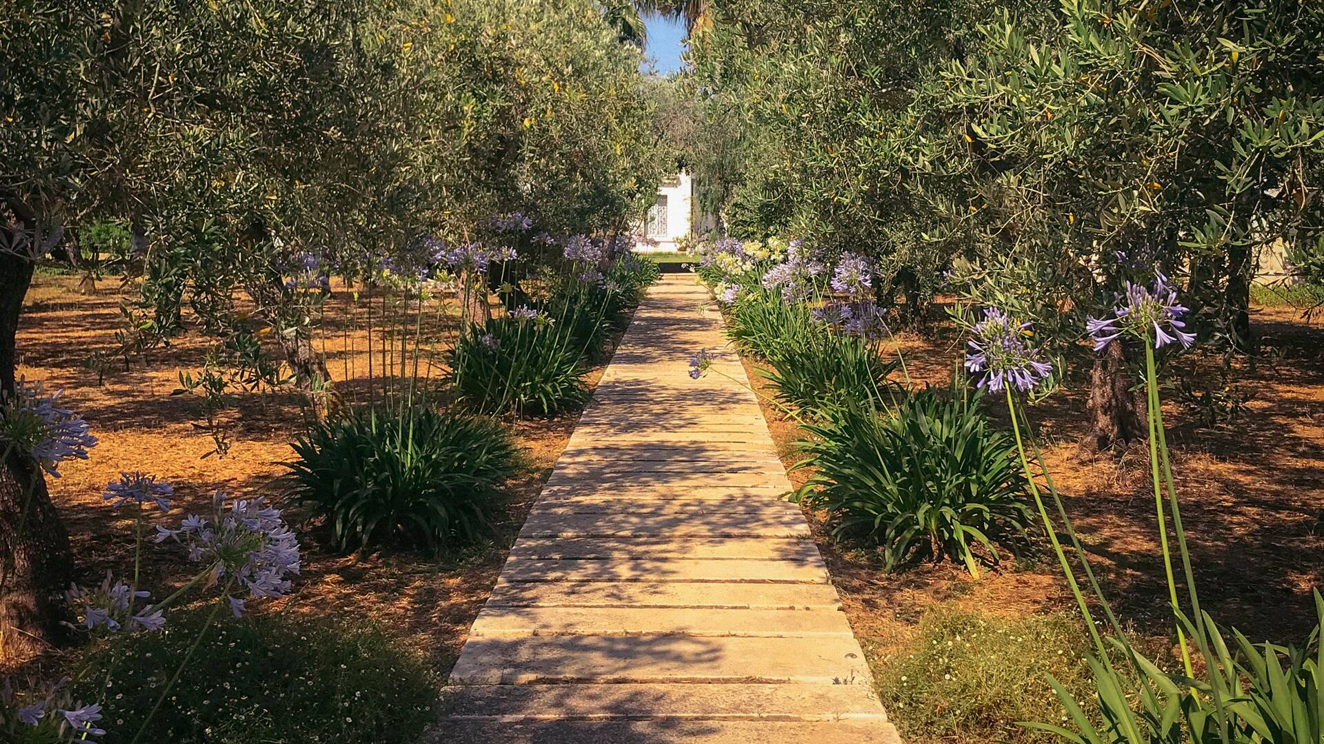 pathway connecting main villa and guest house