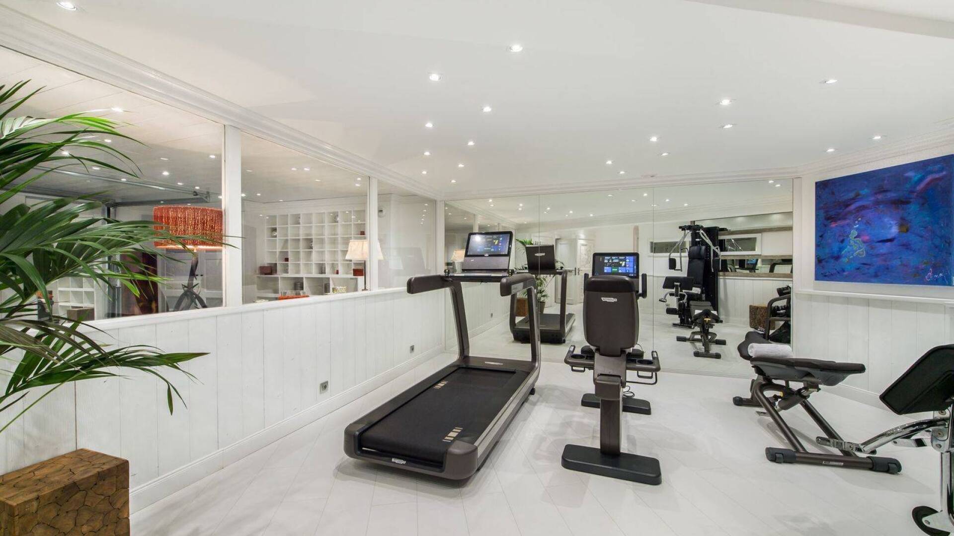 private gym