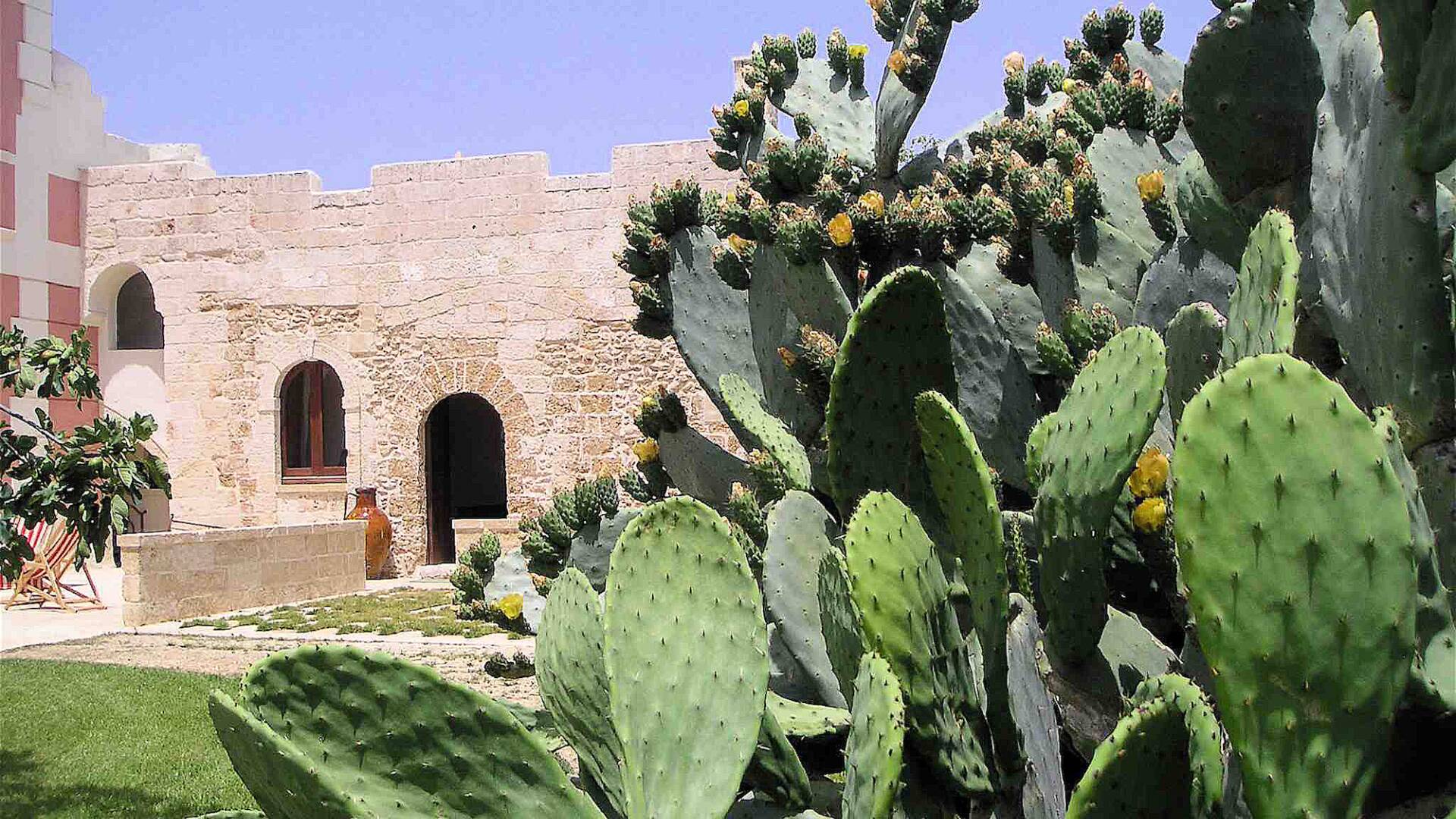 mediterranean garden