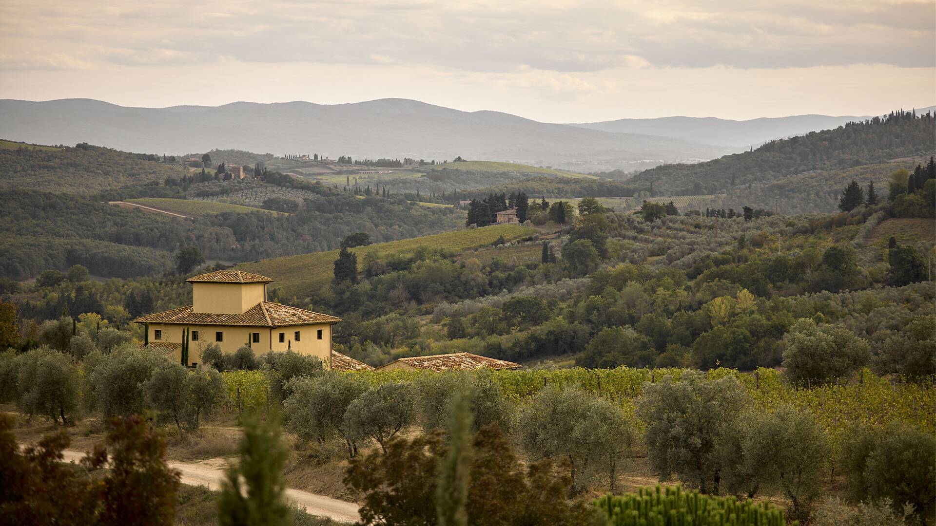 luxury villa for weekly rentals tuscany 