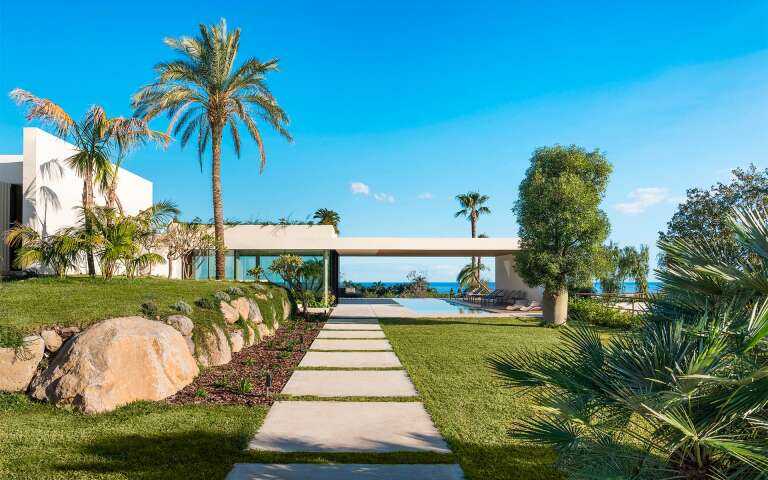 Mediterranean garden 