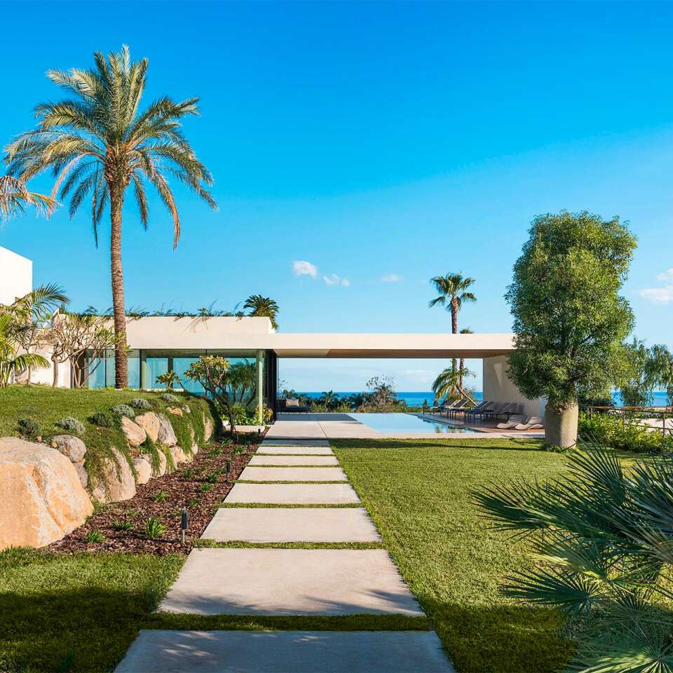 Mediterranean garden 