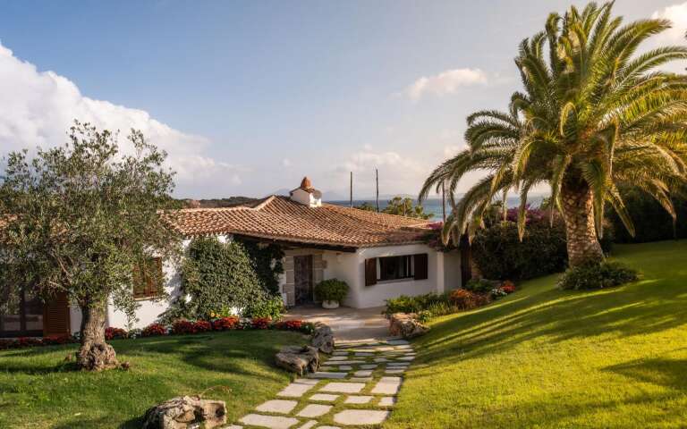 Mediterranean garden 