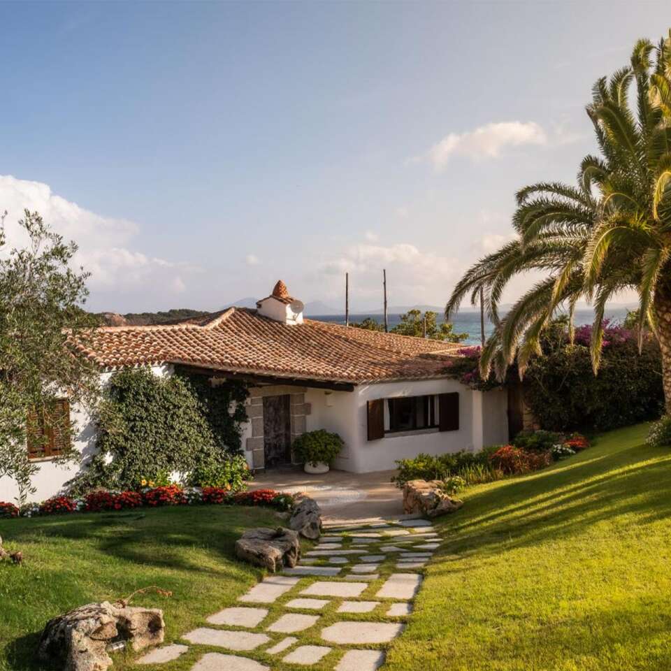 Mediterranean garden 