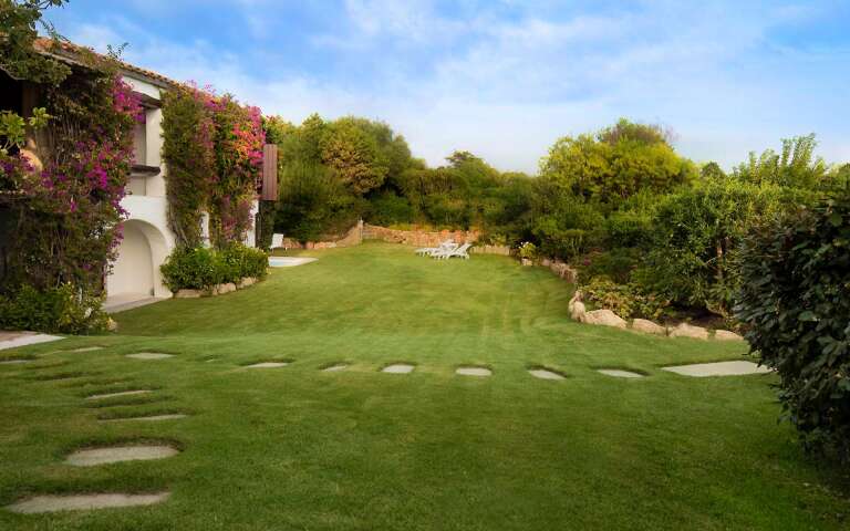 Mediterranean garden