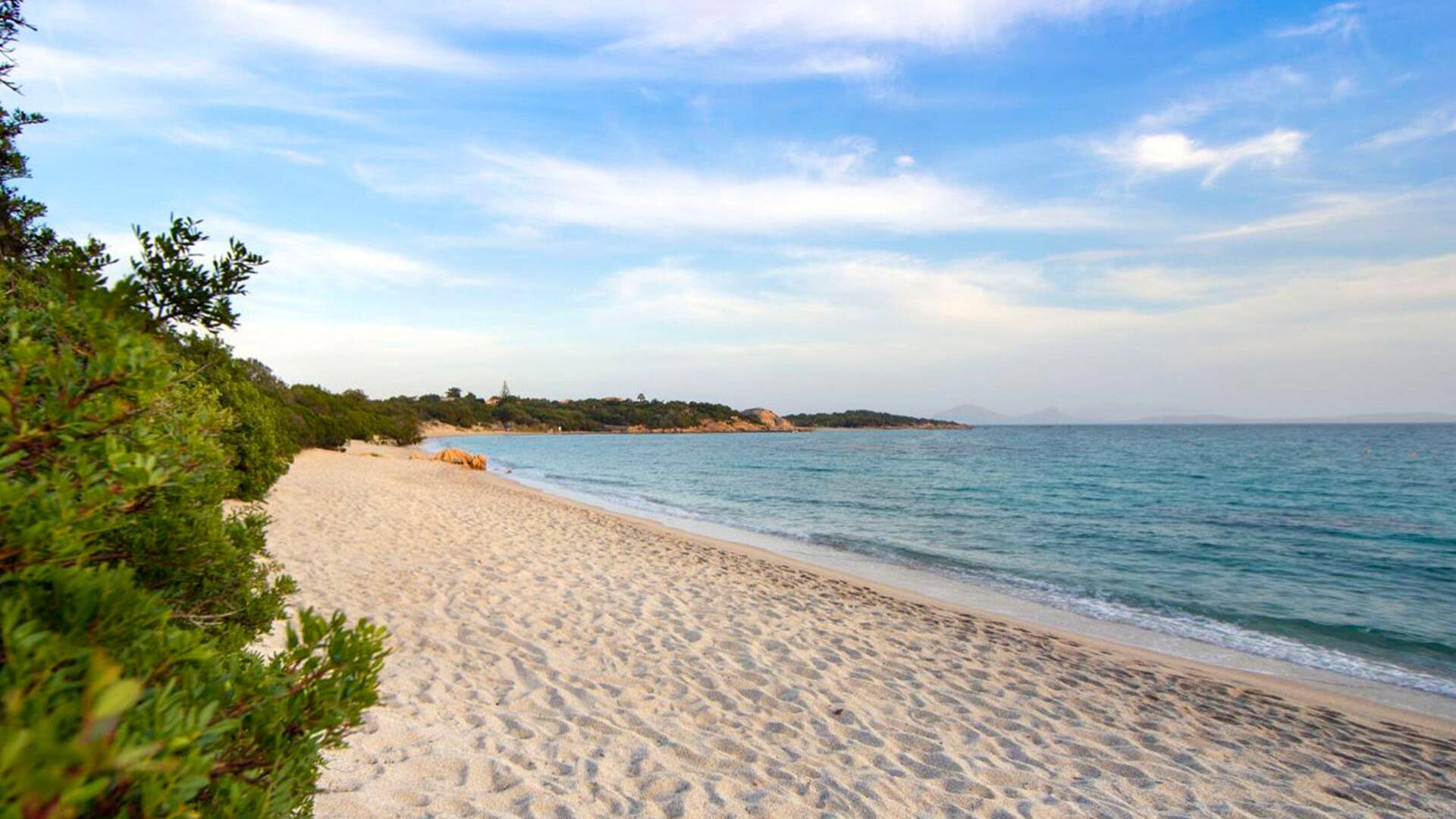 La Celvia beach