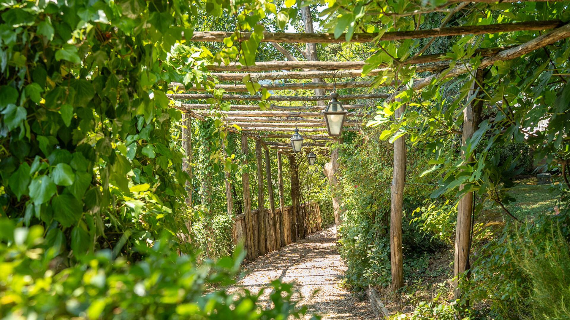 natural path to the wood 