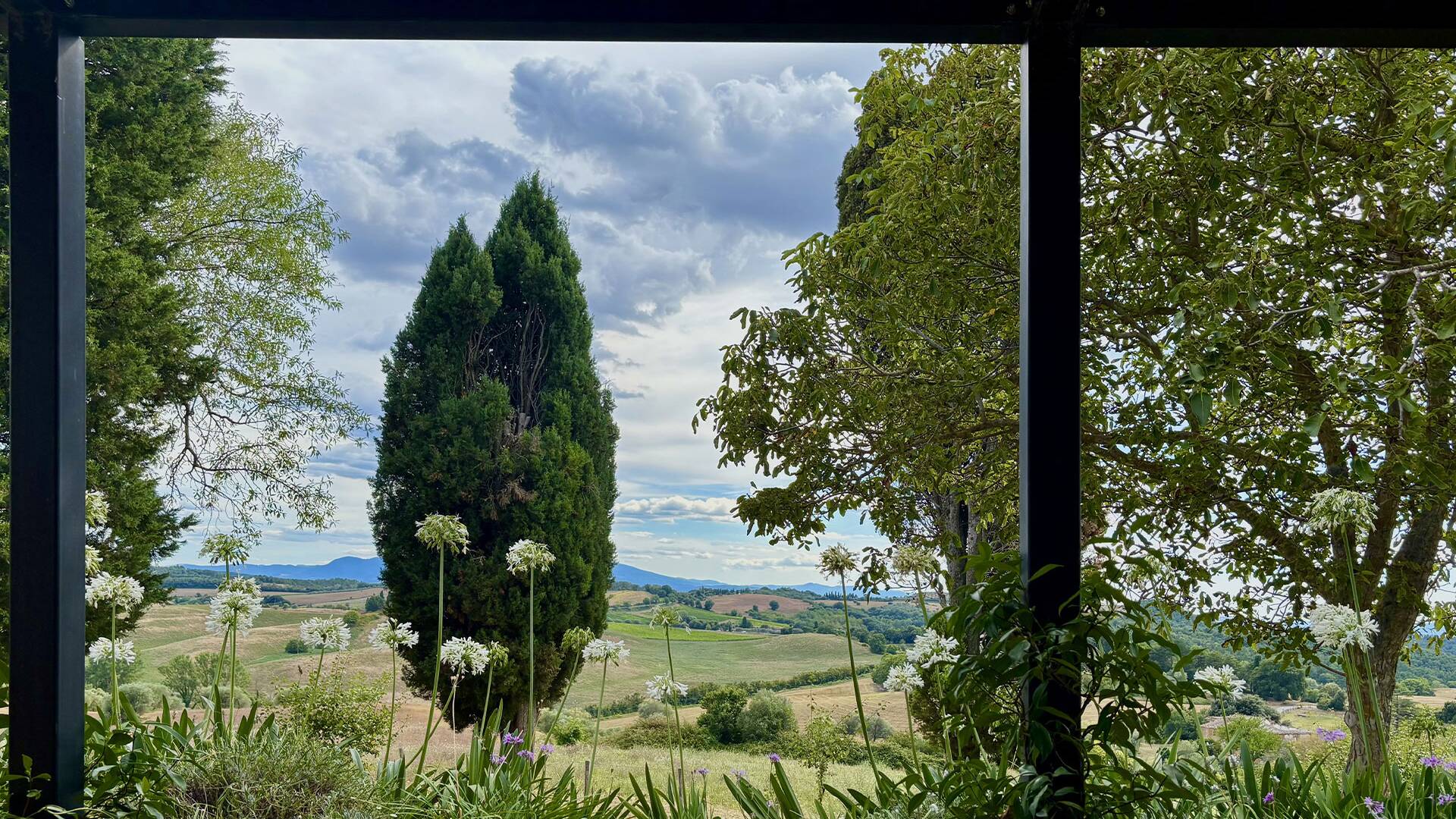 beautiful outdoor view