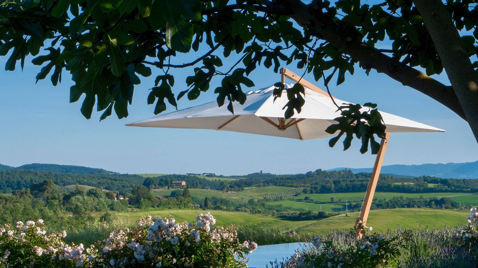 outdoor of the luxury Villa Mandorli