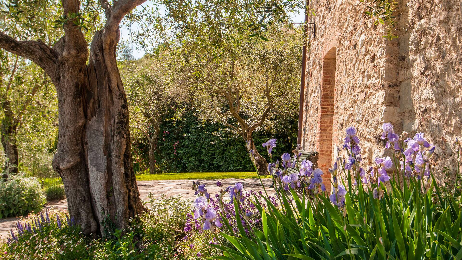 luxury Villa Solare for weekly rent in Tuscany