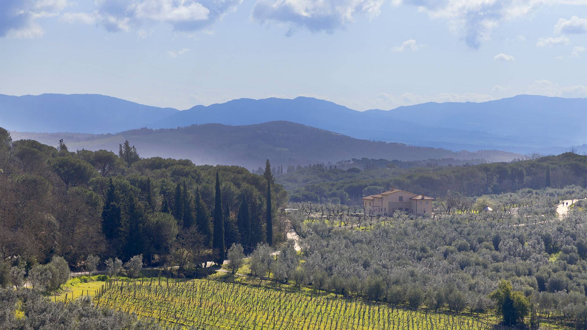 Luigia luxury villa in Florence, Tuscany 