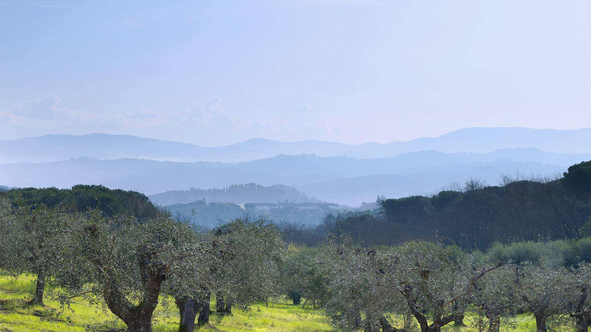 Luigia luxury villa in Florence, Tuscany 