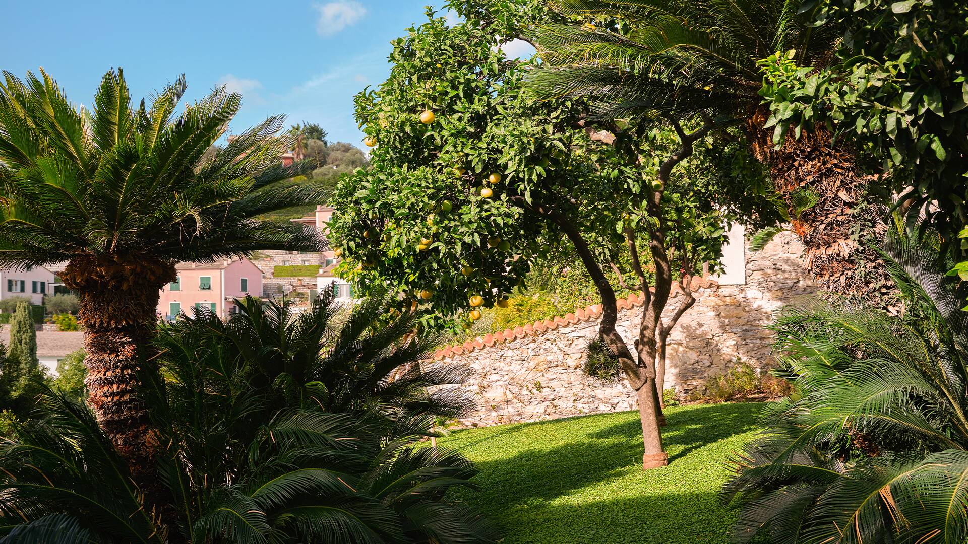 aromatic garden 