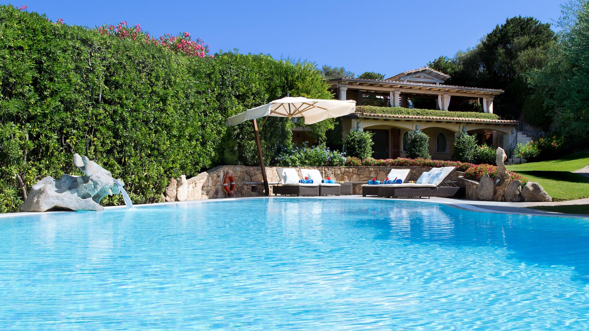 swimming pool with sunbeds and umbrella