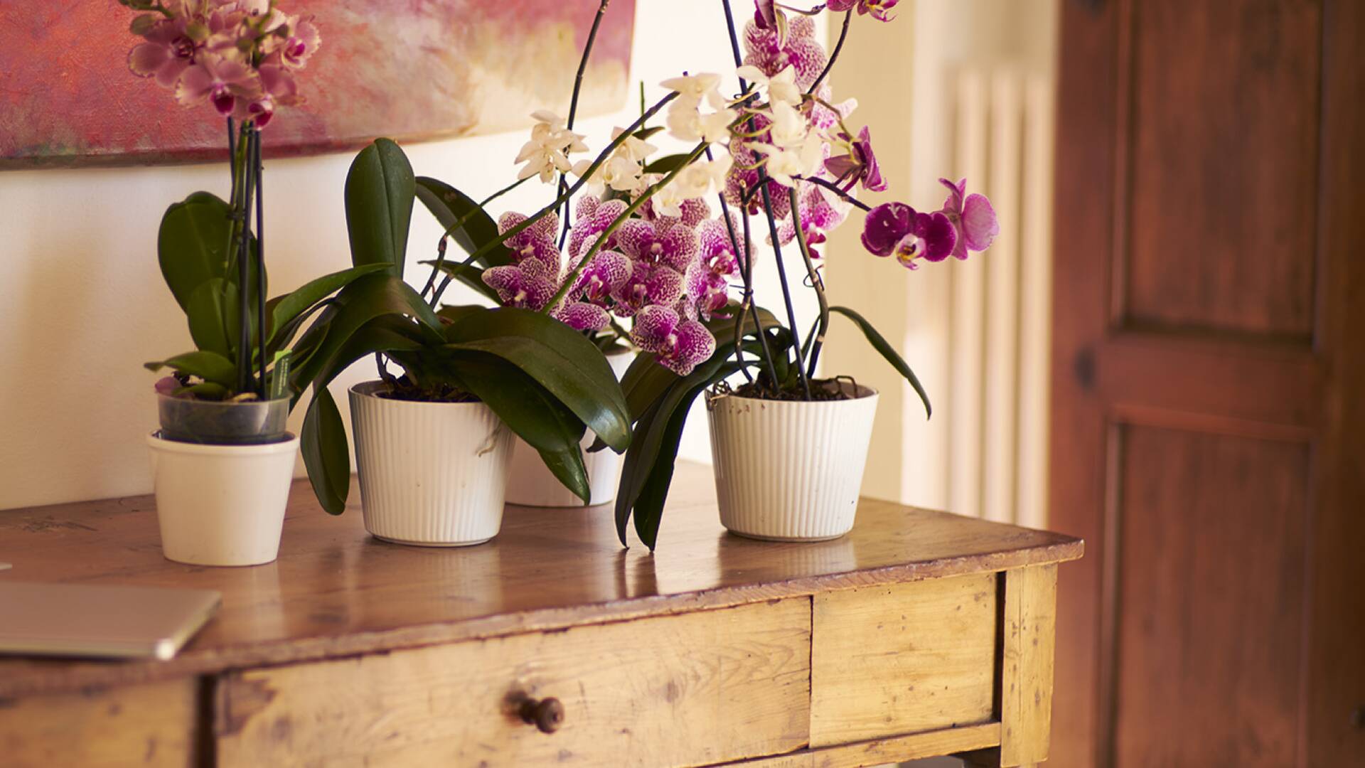 luxury traditional vacation villa in Tuscany