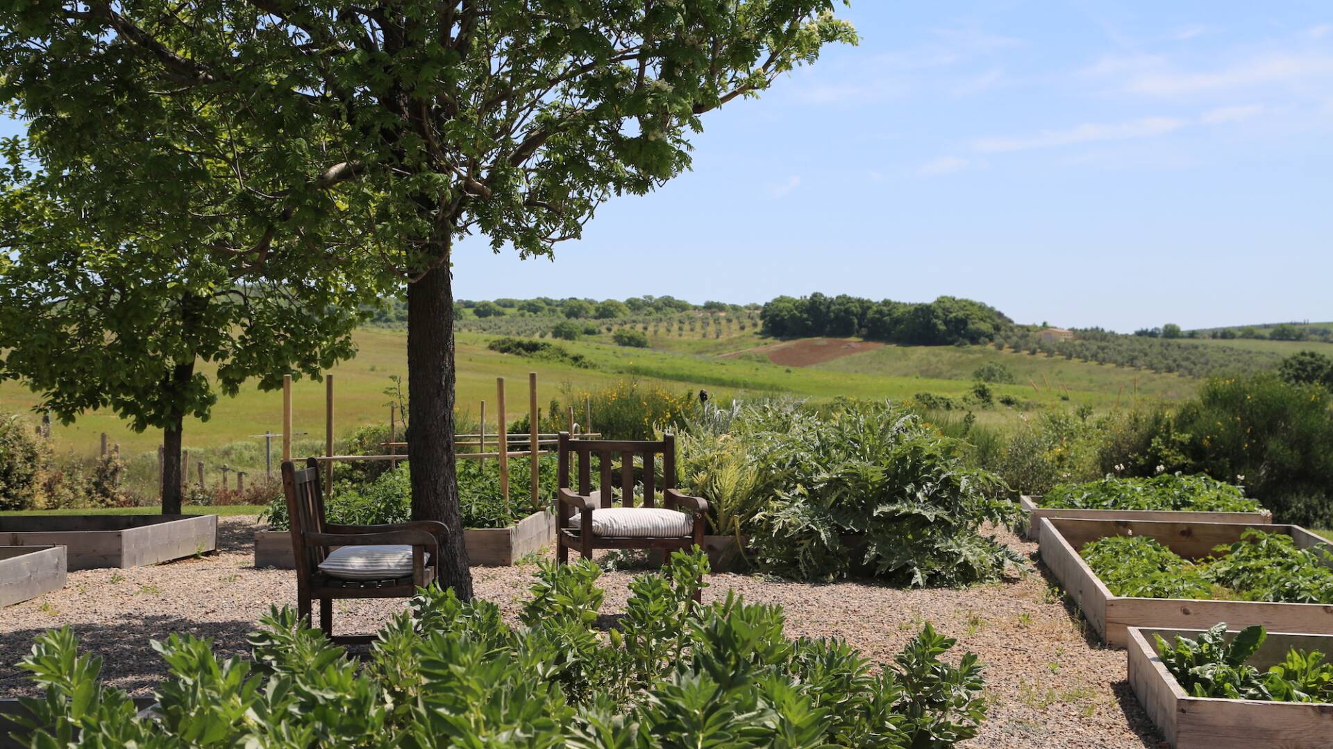 vegetable garden