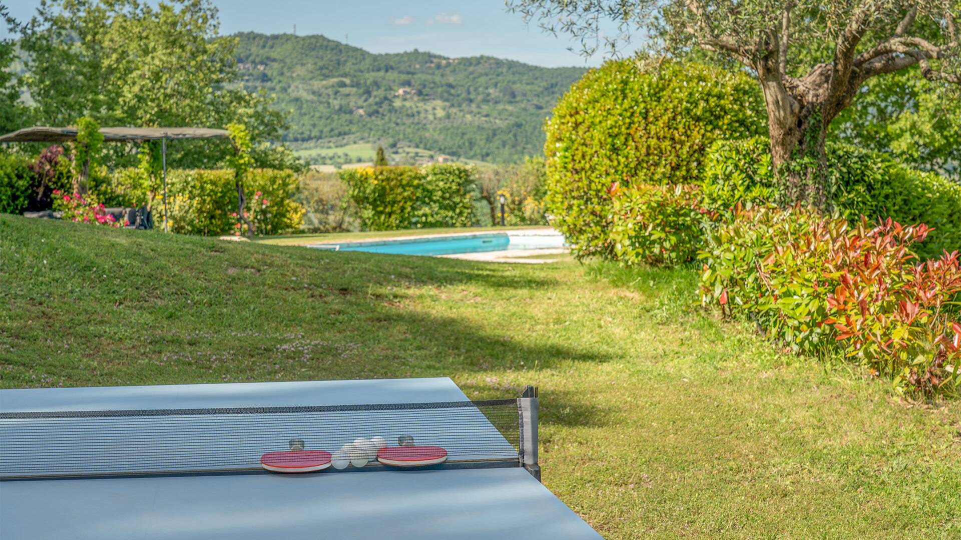 luxury villa with private pool and tennis table