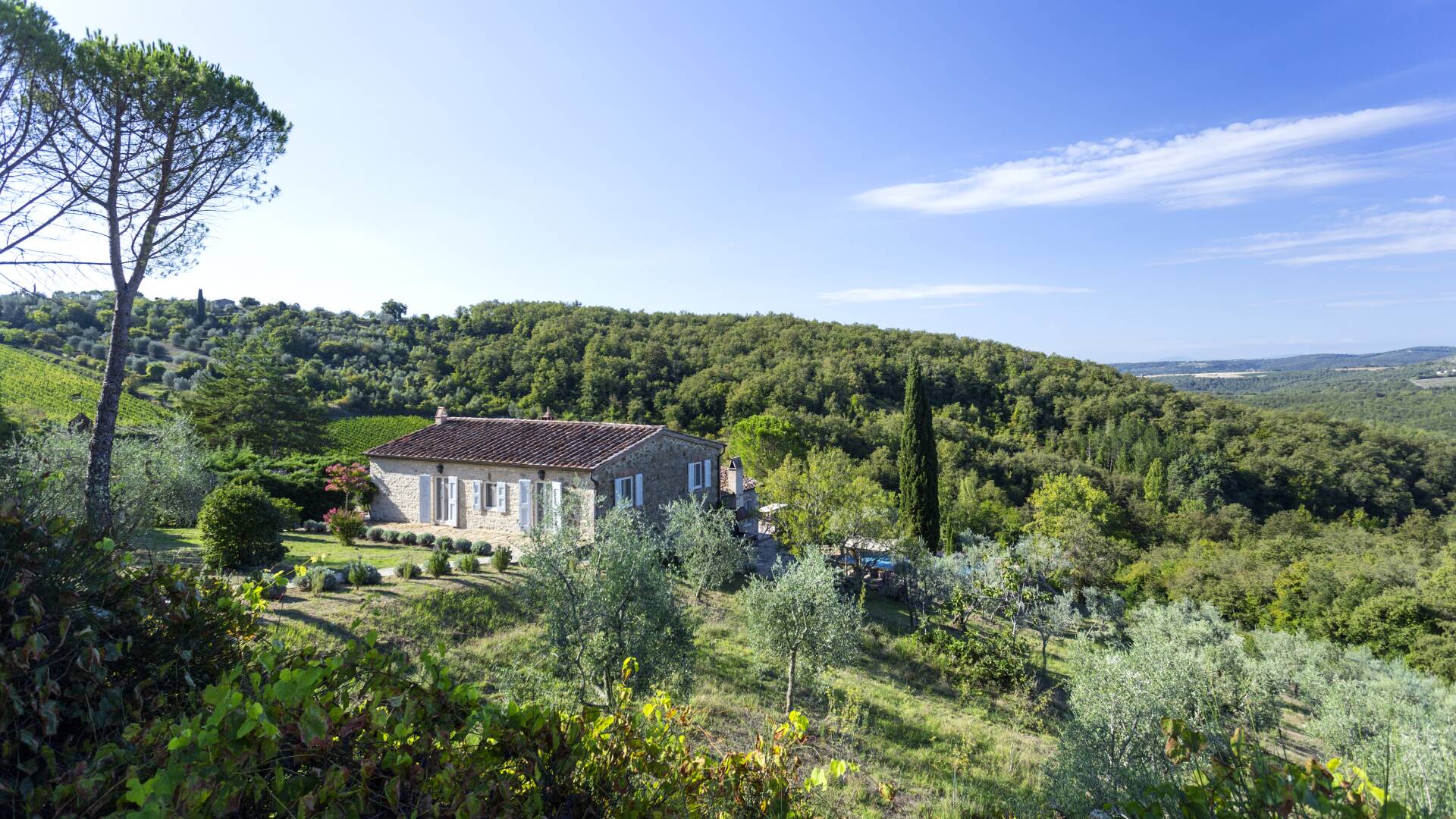luxury villa Gelso for rent in Tuscany