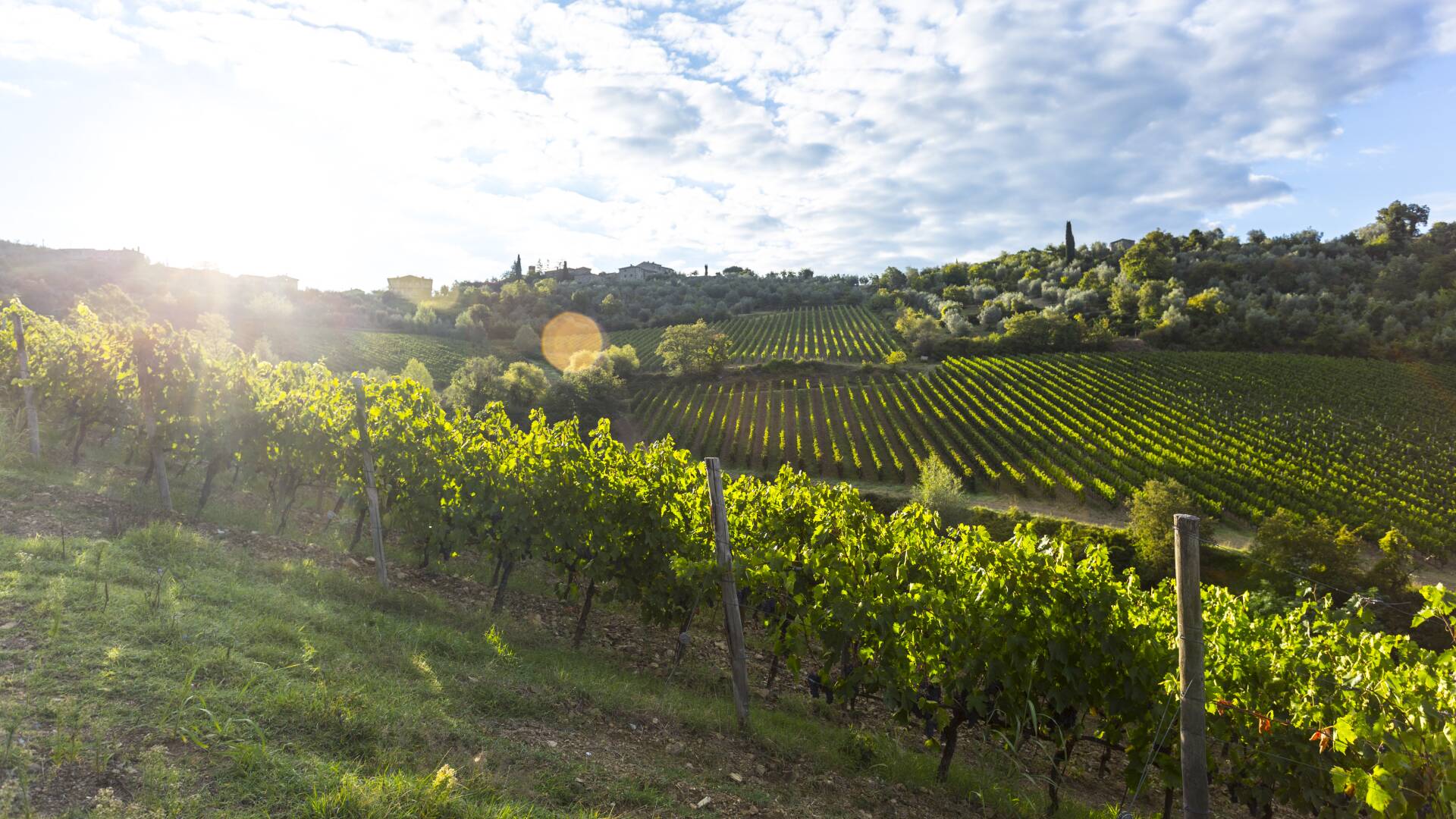 view of Tuscan landscape