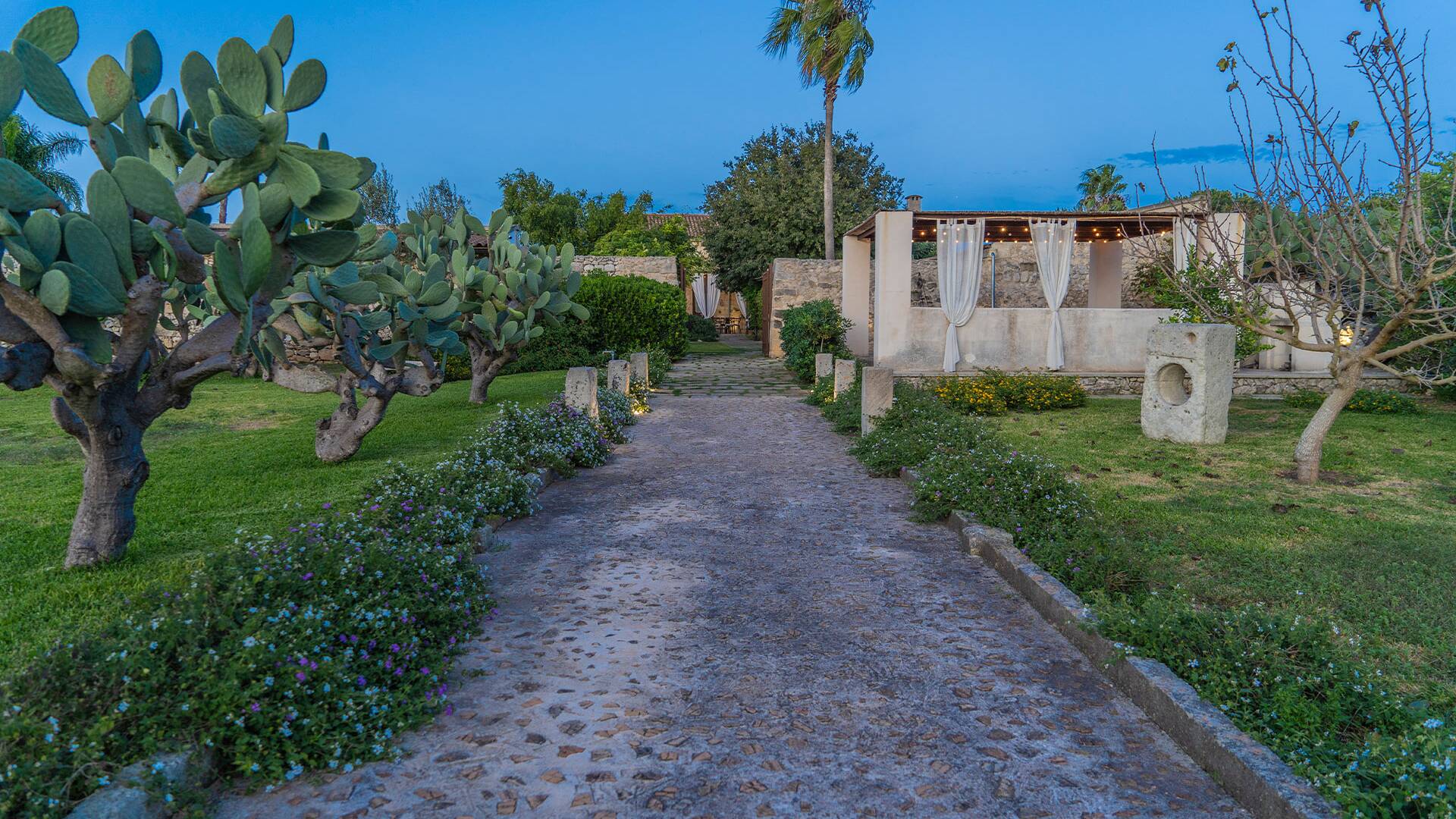 garden