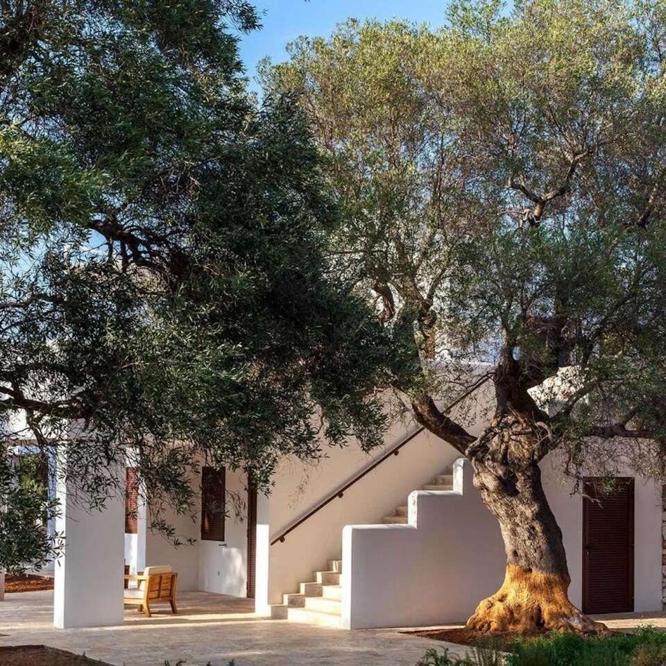 larissa luxury villa for rent in Puglia