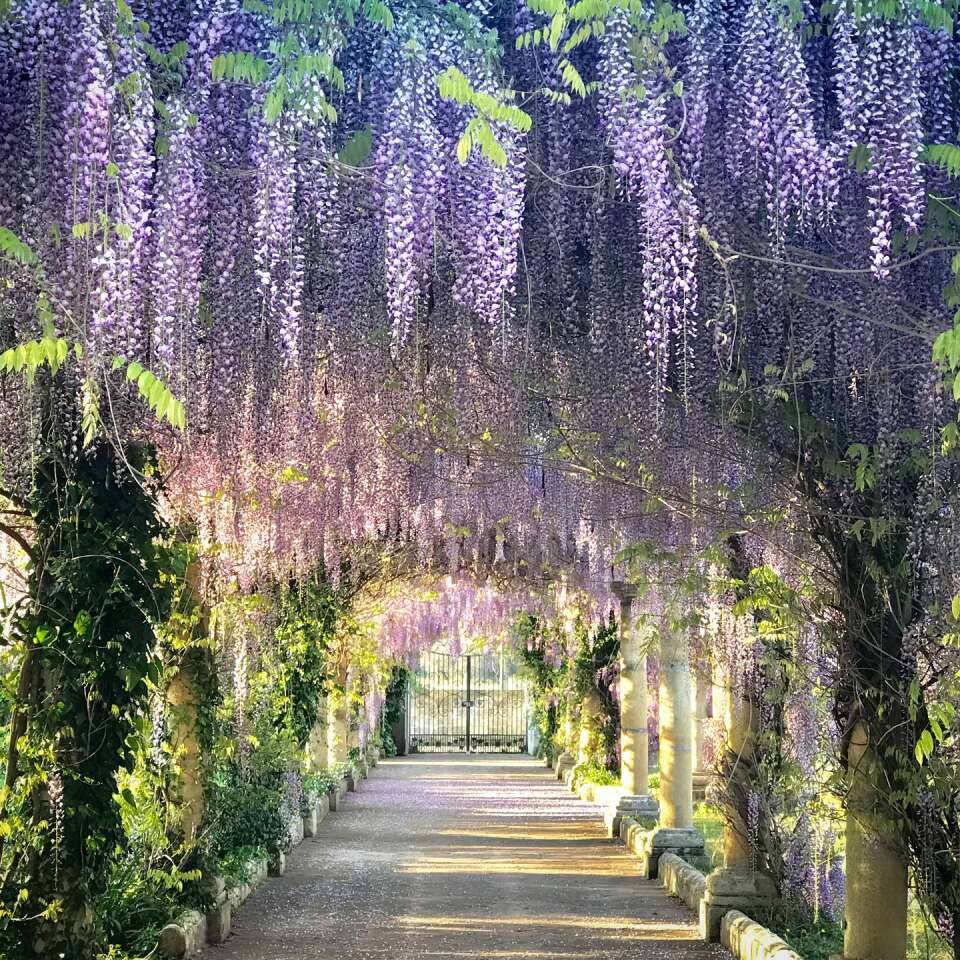 private gate and fenced in property