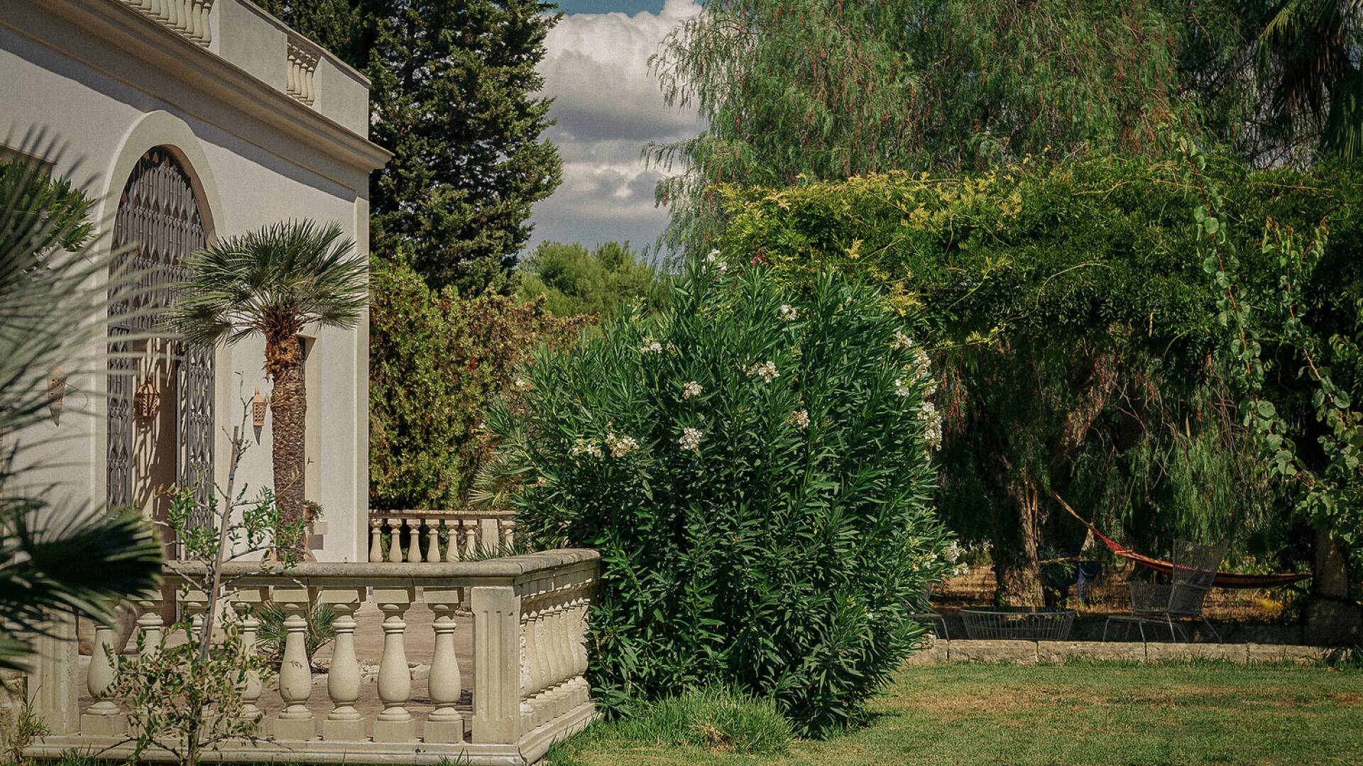 Mediterranean garden with olive trees