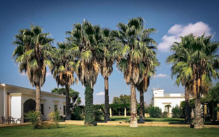 majestic Mediterranean garden