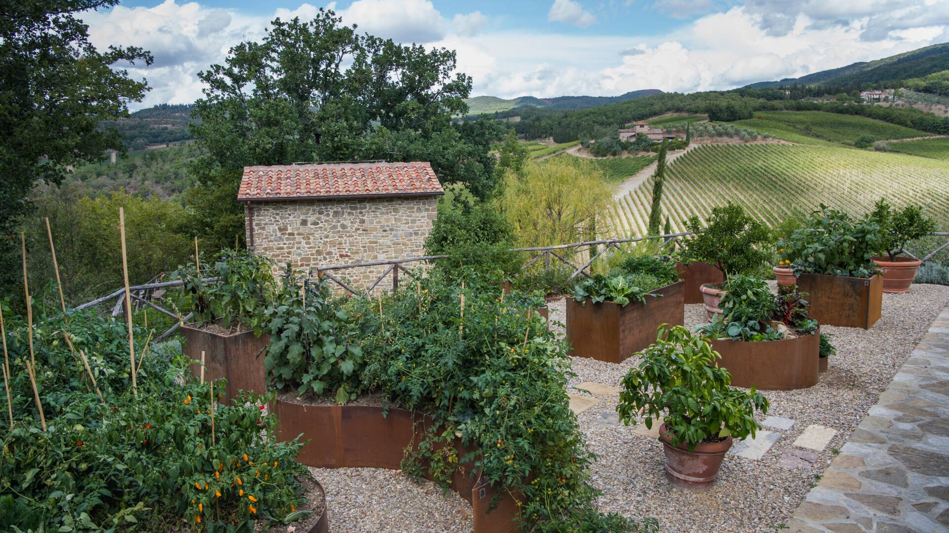 vegetable garden