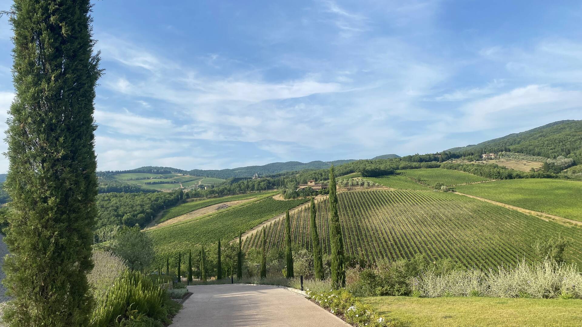 glorious Chianti hills, private entrance driveaway