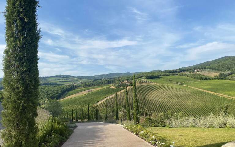 glorious Chianti hills, private entrance driveaway