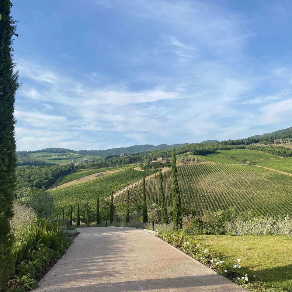 glorious Chianti hills, private entrance driveaway