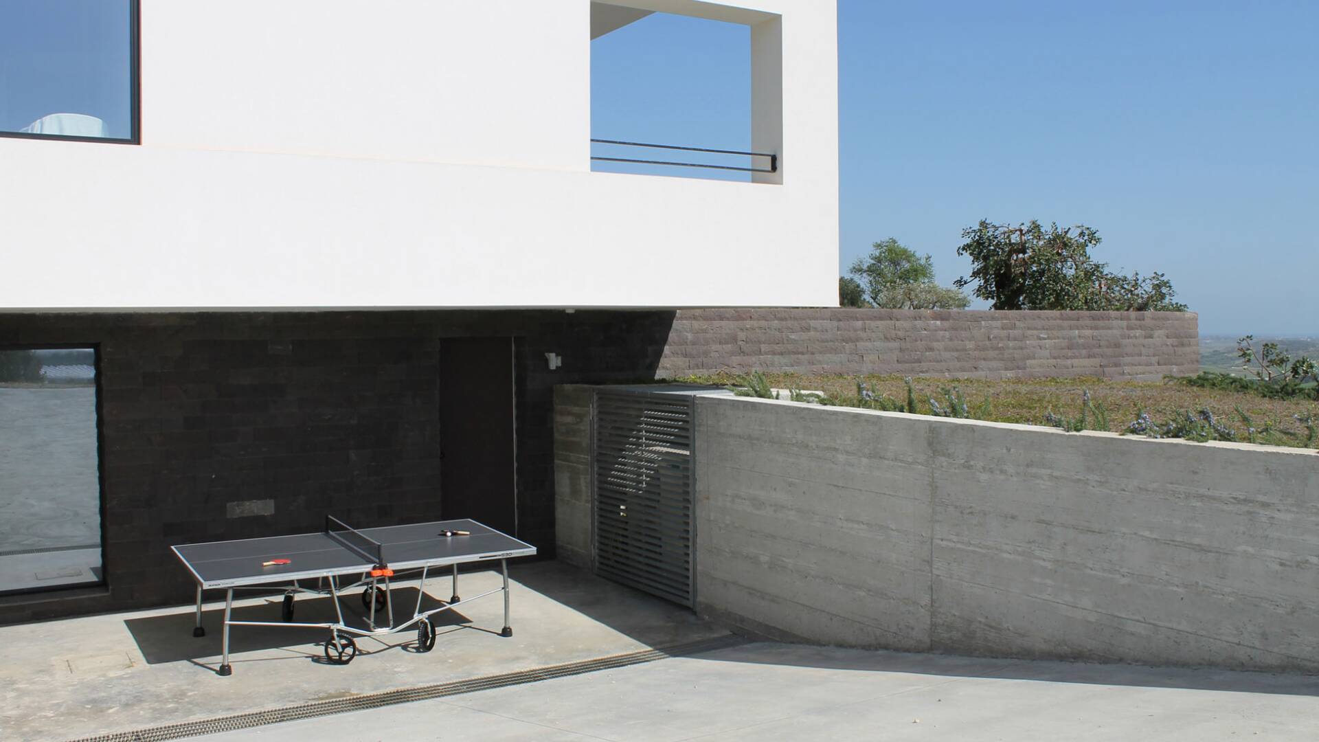 table tennis table