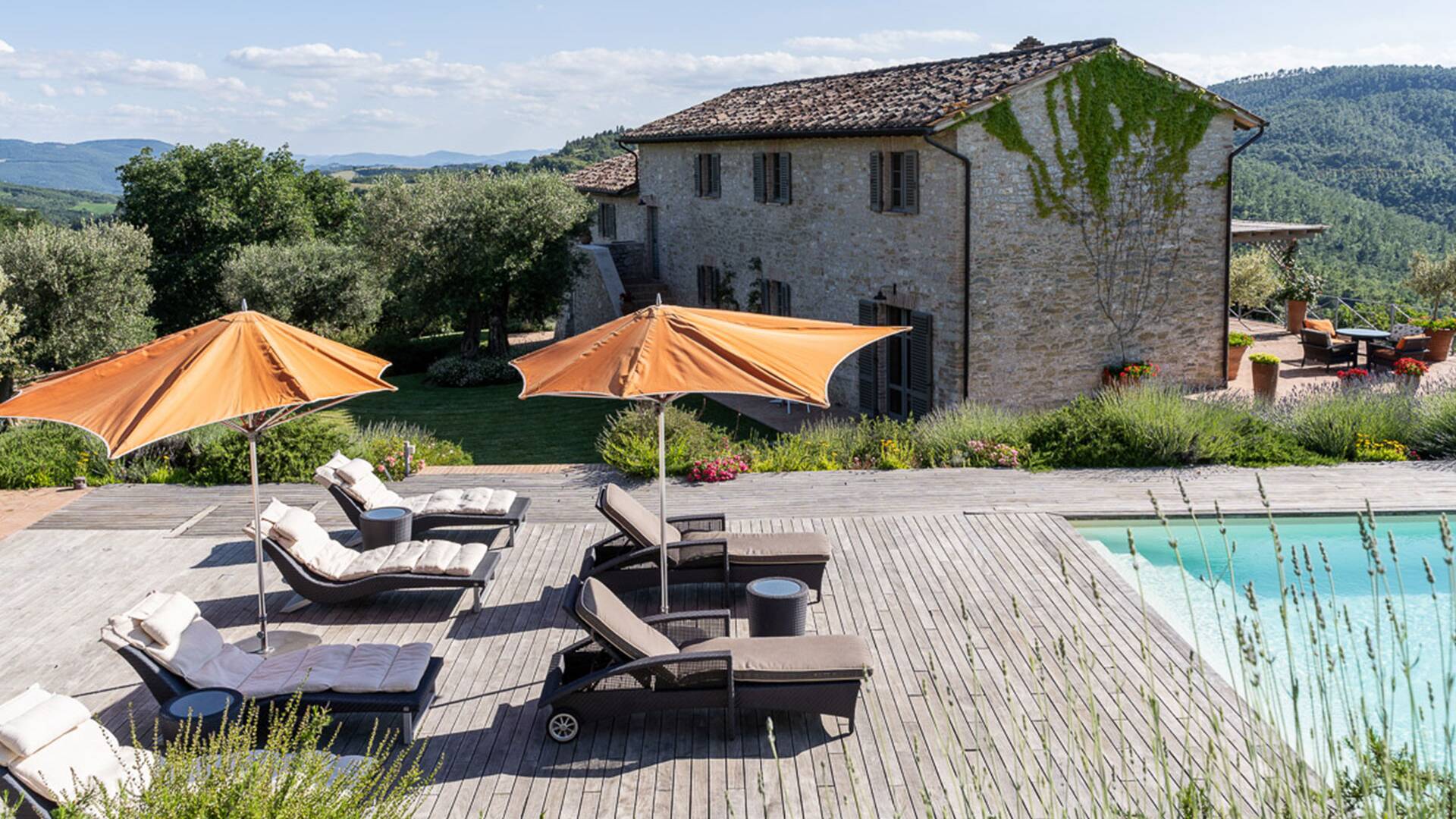 sun loungers and umbrellas