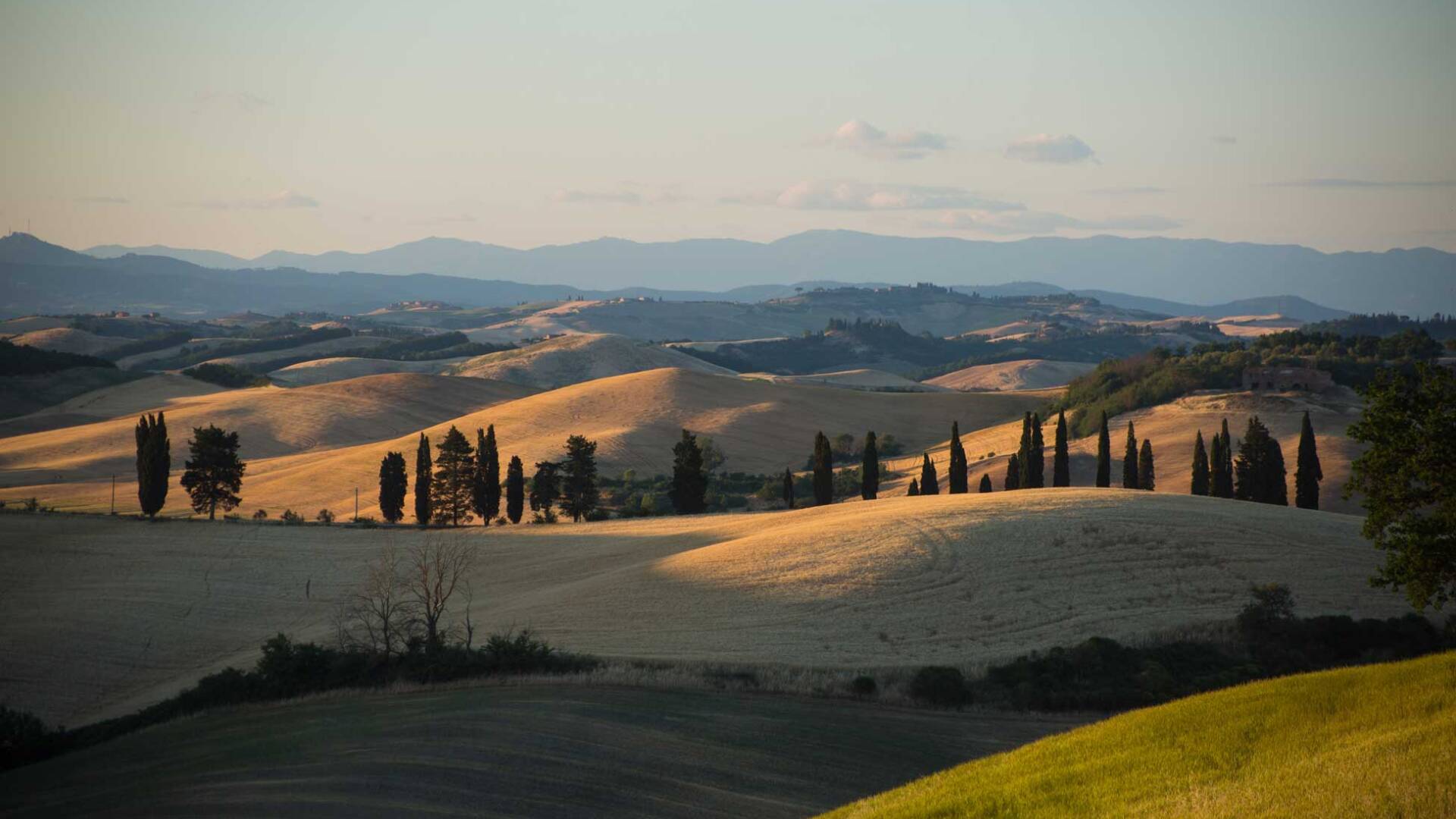 Tuscan countryside around the villa 