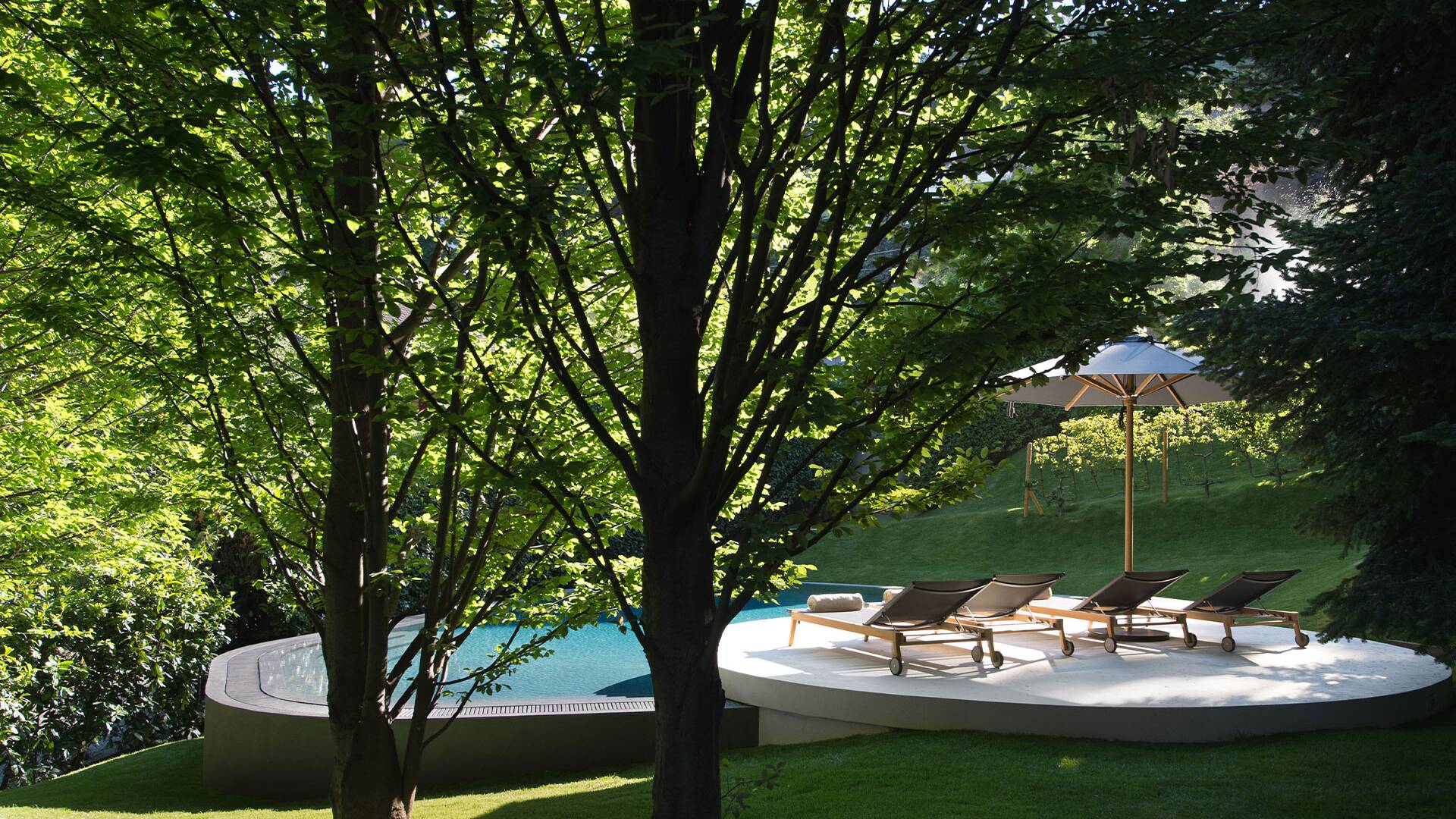 organic shape swimming pool, sunbathing area 