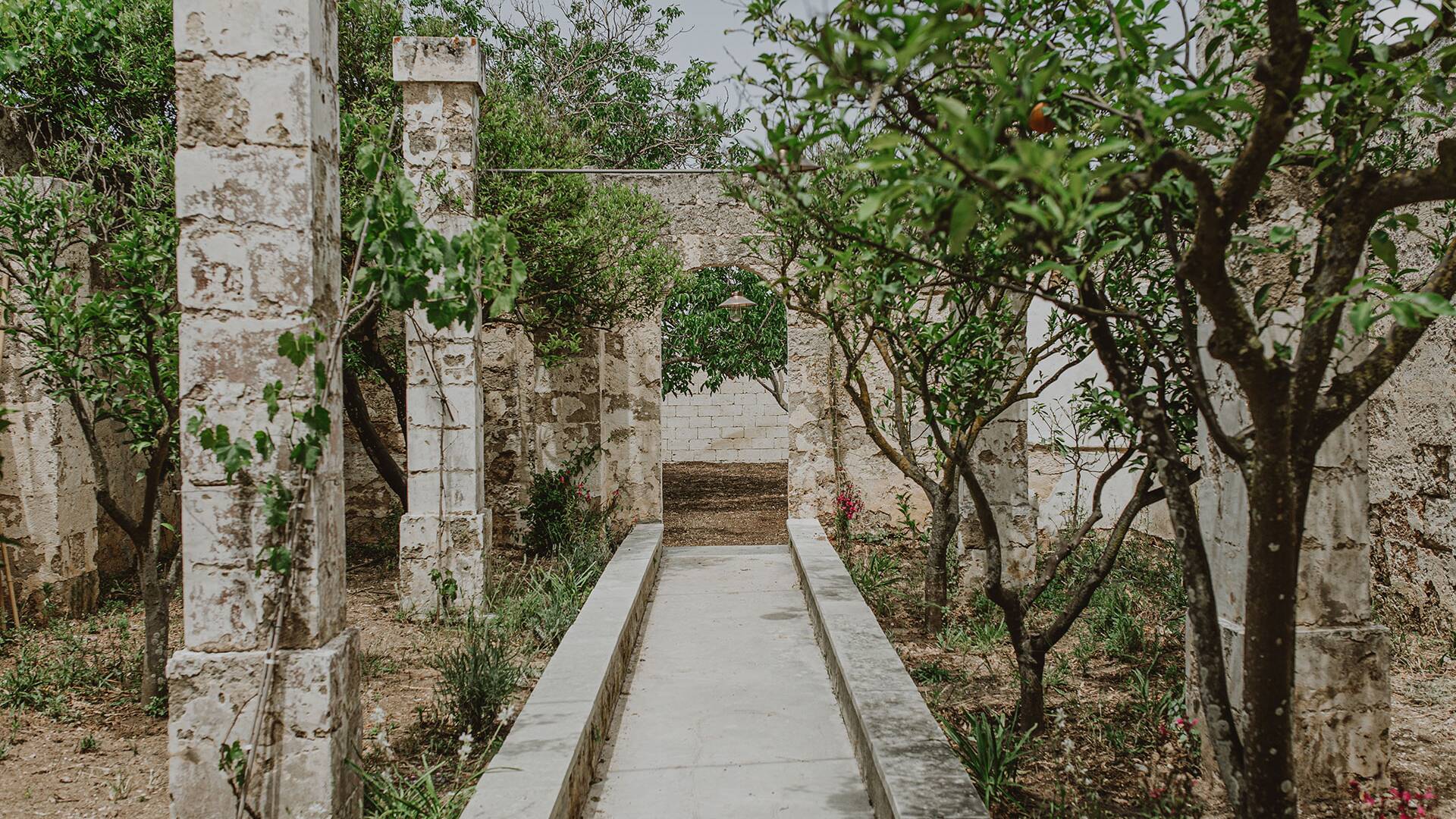 garden's pathway