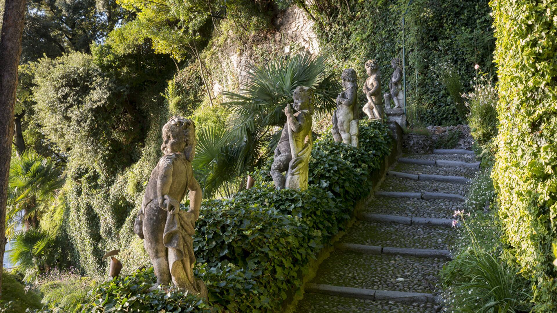 pathway among private garden