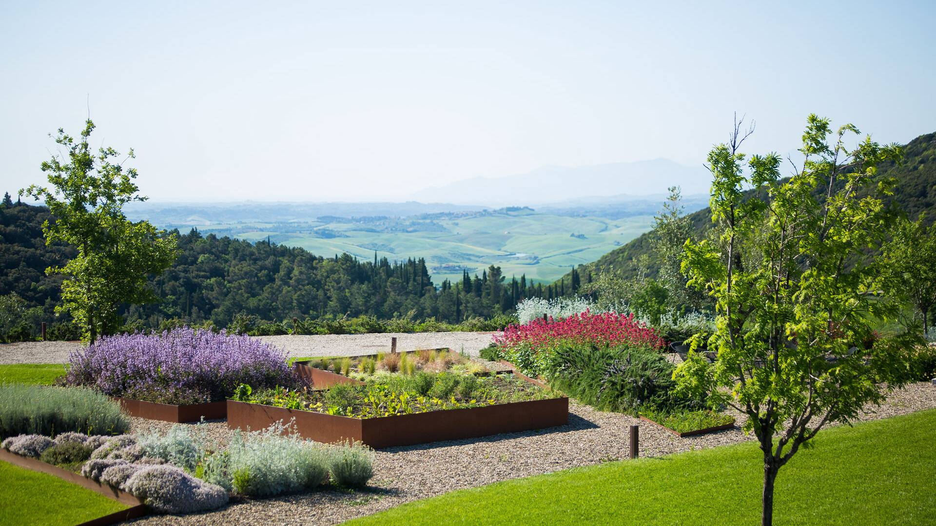 well-manicured garden