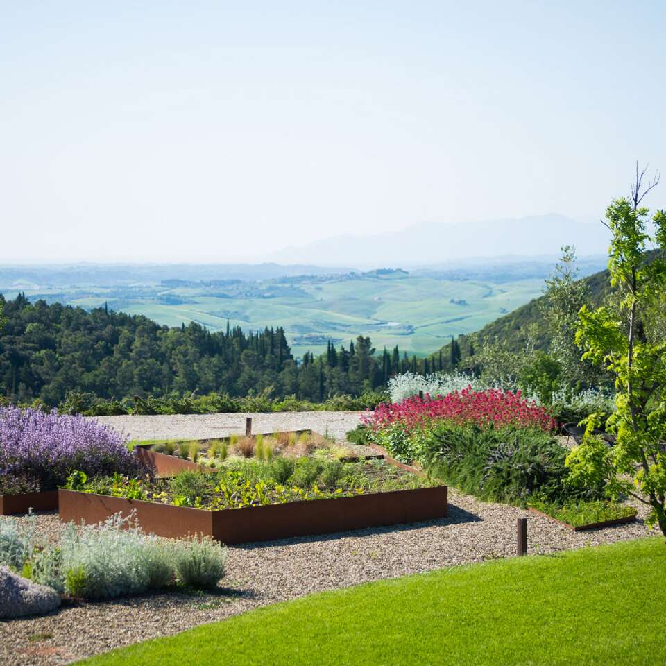 well-manicured garden