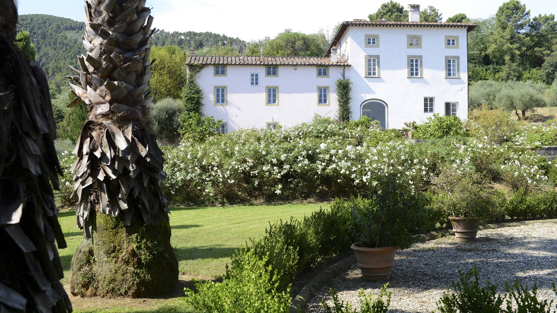luxury Villa Magenta