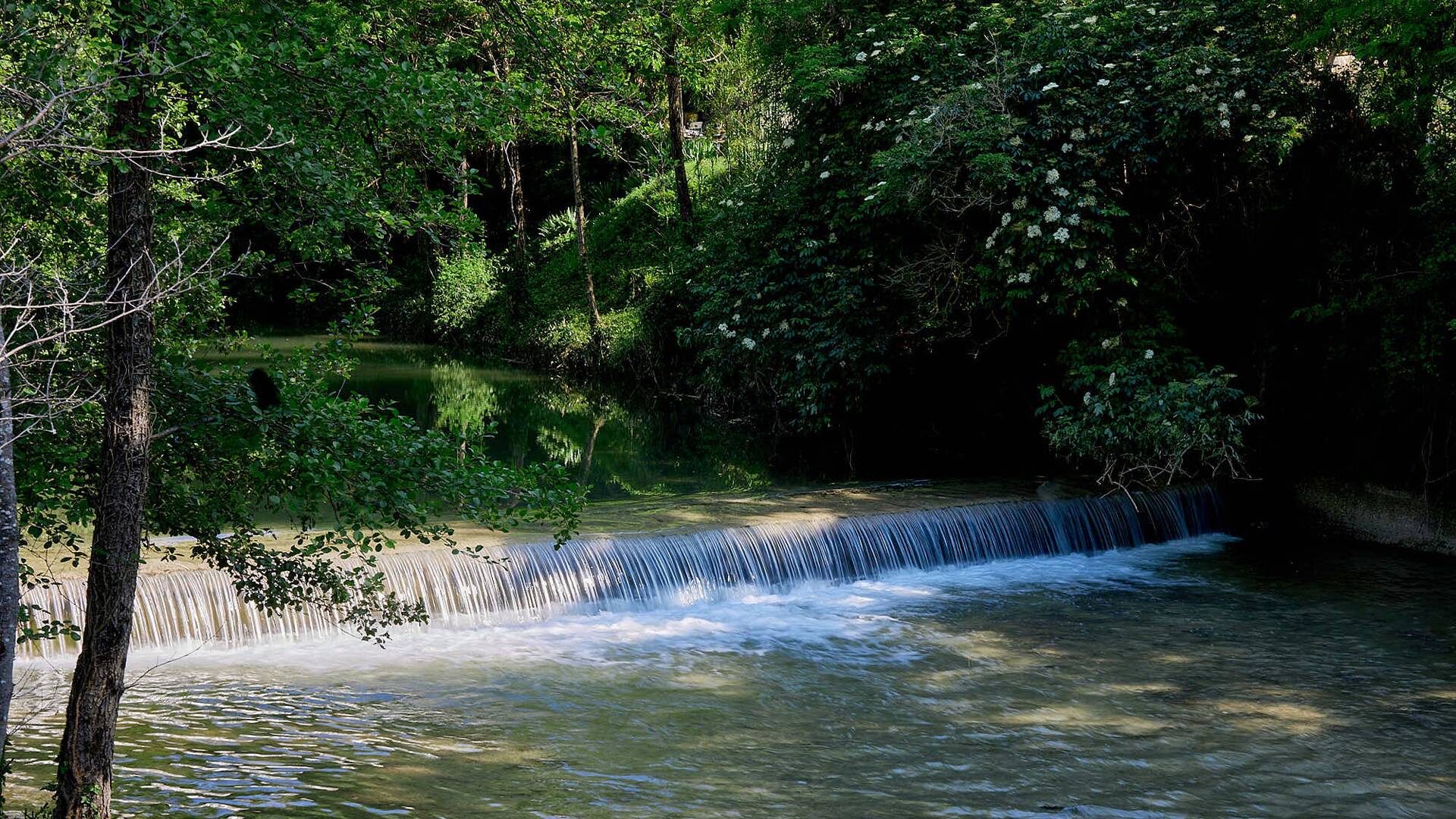 river in the estate