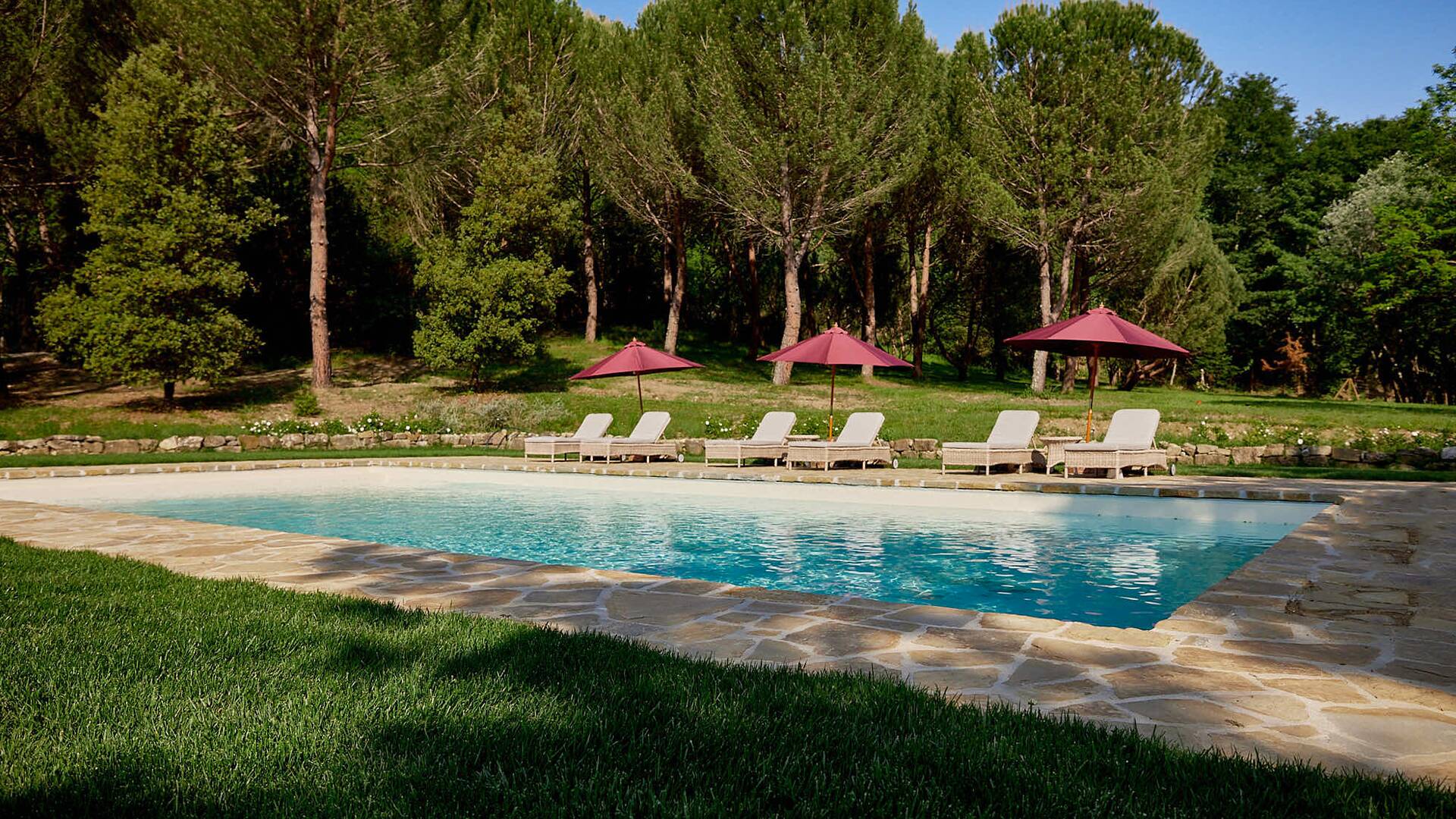 pool area with sunbeds and umbrellas 