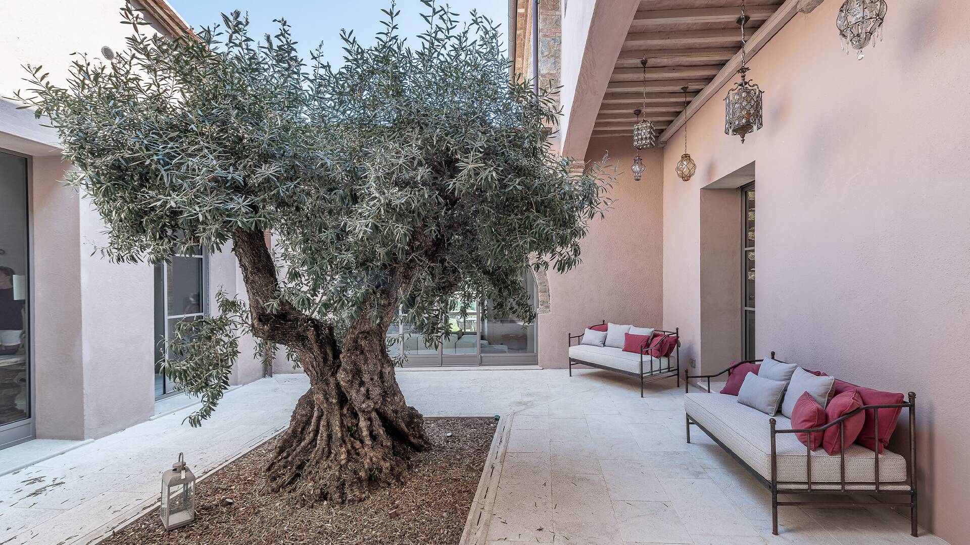 inner court with central olive tree