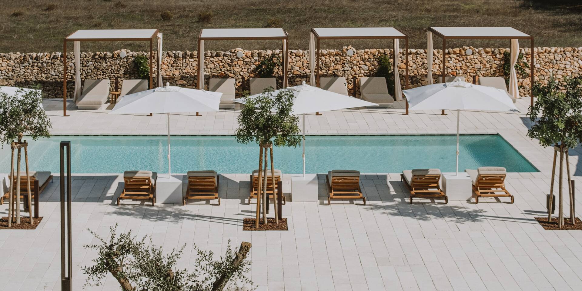 masseria mirtillo