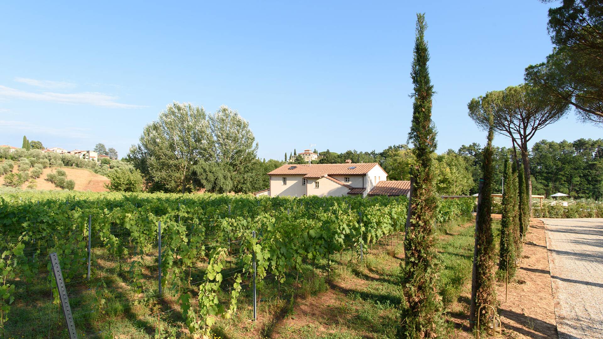 Tuscan countryside