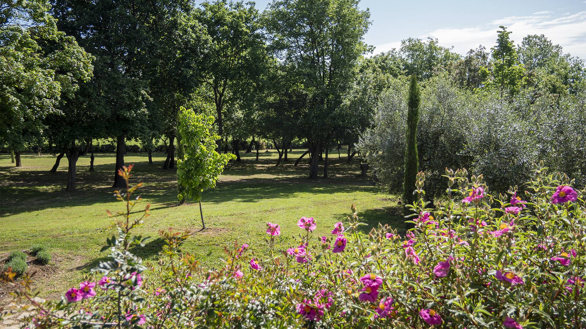 large private garden