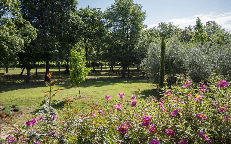 large private garden