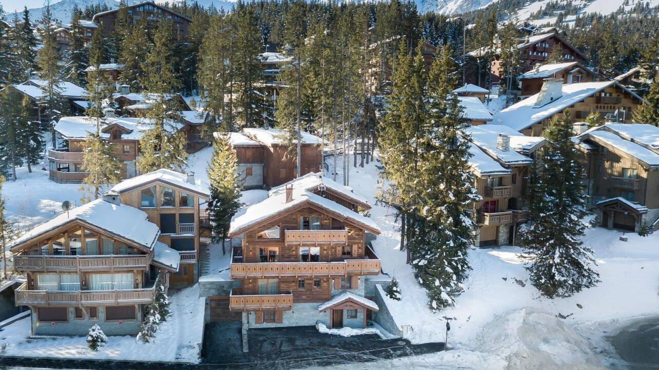 Snapshot of Luxury Green Vacation Rentals Ski
